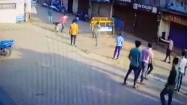 அரசு நடவடிக்கை 