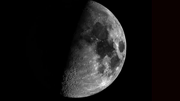 பாசமான பிள்ளைகள்