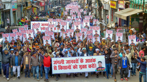 போராடவில்லை போராடவில்லை