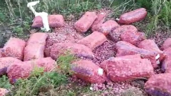 The 10 tonnes of onion brought to Chennai from Andhra Pradesh toppled on the road 