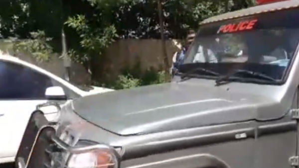 நாய்கள் நாய்கள்