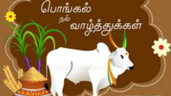 வாழ்த்து அட்டைகள் 