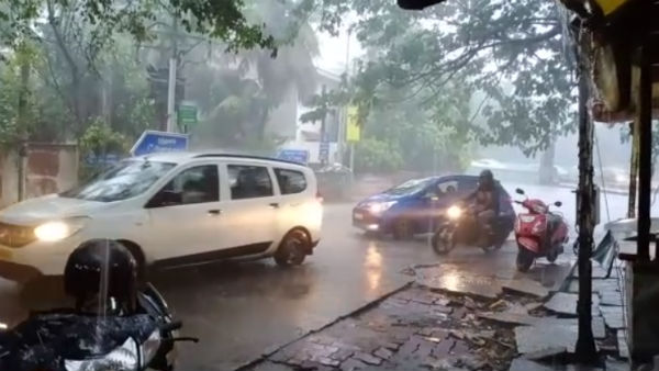 அடை மழை 