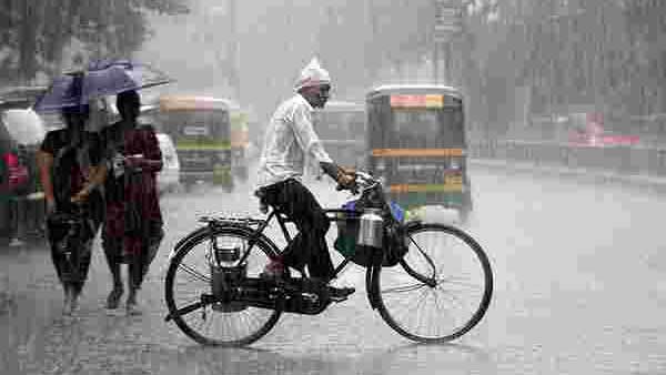 13 சதவீதம் 