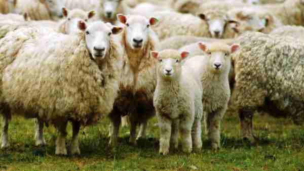 பாலியல் உறவில் 