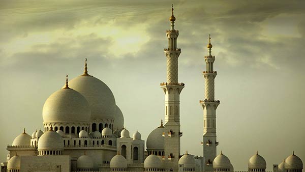 சகோதரத்துவம் 