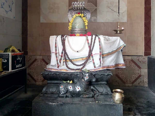 சிவ தாண்டவ தரிசனம்