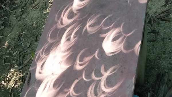 அறிவியல் நிகழ்வு அறிவியல் நிகழ்வு