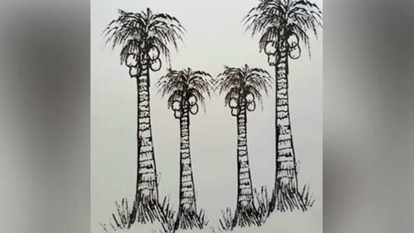 மீண்டும் தோப்பு 