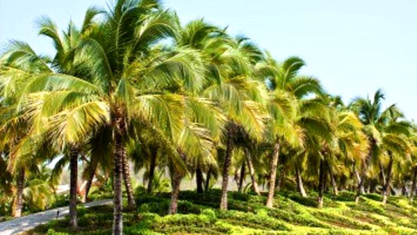 நிர்வாகிகள் ஏமாற்றம் 