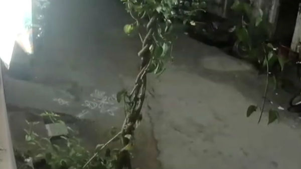 The woman who slipped off the second floor while talking to her husband on the cell phone 