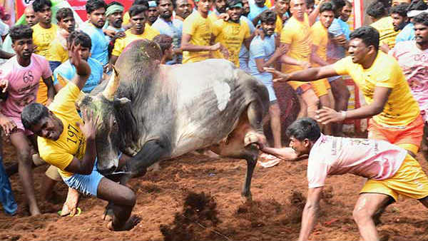 நீதிமன்றம் உத்தரவு நீதிமன்றம் உத்தரவு