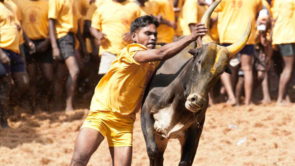 புதிய வழக்கு புதிய வழக்கு