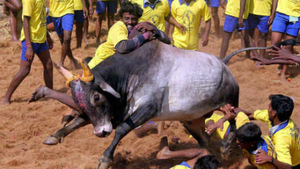 வழிகாட்டுதல்கள் வழிகாட்டுதல்கள்