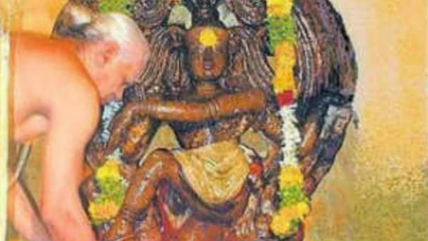 நடராஜரின் தரிசனம் நடராஜரின் தரிசனம்