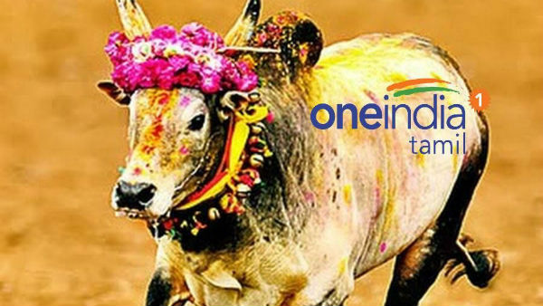 அறுவடை திருநாள்