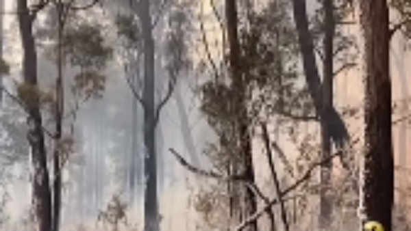 கண்டெடுப்பு 