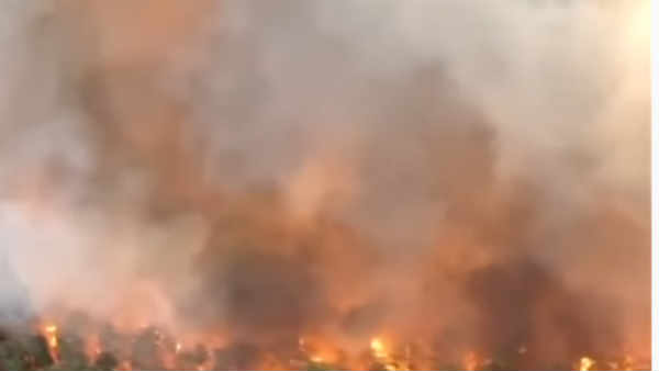 ஆஸ்திரேலியா 