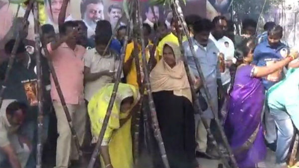 Rajini fans celebrations in hosur 