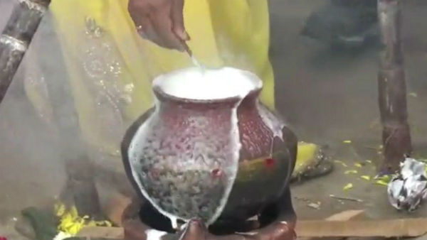 Rajini fans celebrations in hosur 