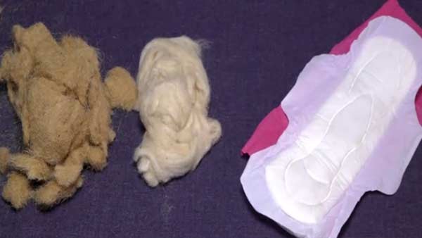 ஆர்கானிக் கடை 