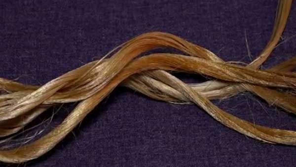 அனுமதி சான்று 