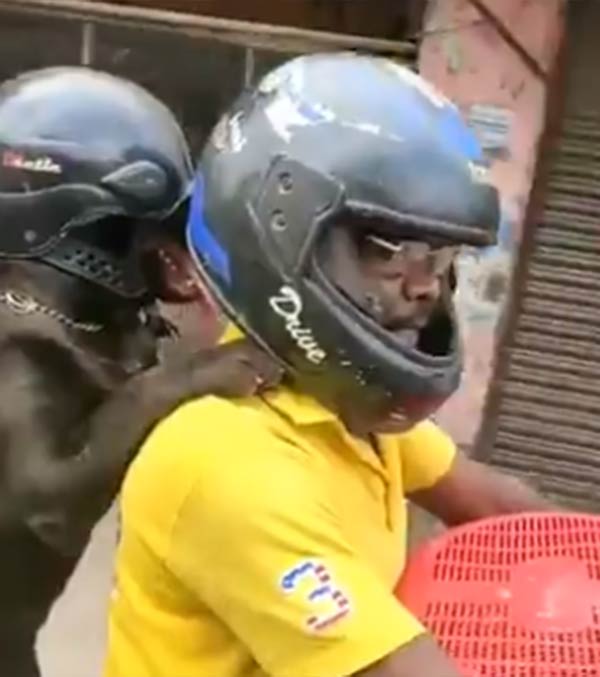 வைரல் 