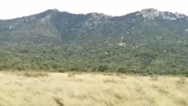 கூச்சலிட்டனர் 