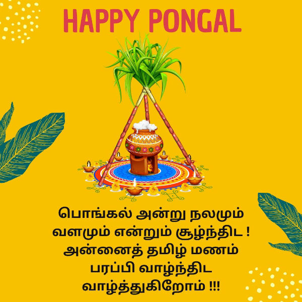 Happy Pongal Wishes, Messages, Quotes, Whatsapp Status in Tamil