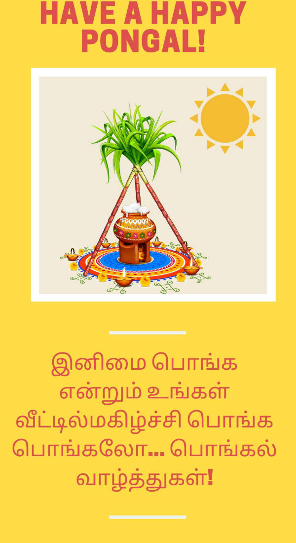 Happy Pongal Wishes, Messages, Quotes, Whatsapp Status in Tamil 