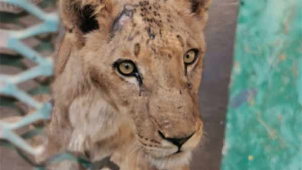 ஹேஷ்டேக் 