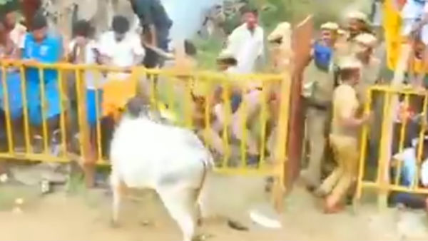 சிறப்பு 