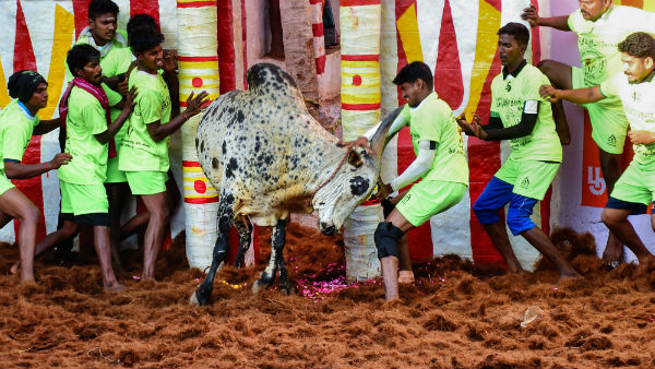 மெரீனா போராட்டம் 