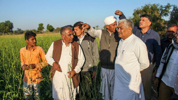 Pakistan’s locust attack crops in North Gujarat 