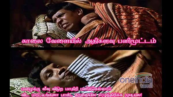 memes-on-onion-and-rain