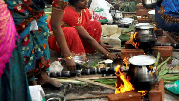 தை பொங்கல் கோலாகலம்