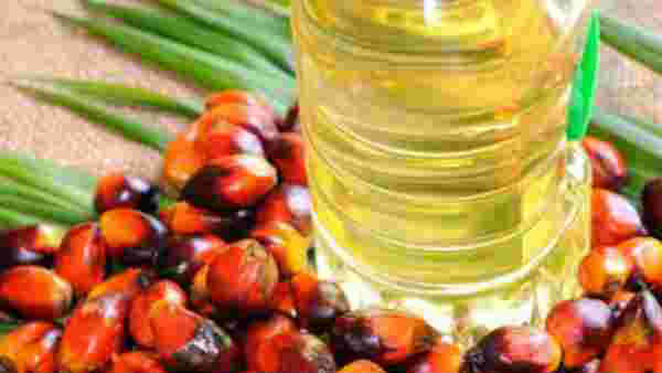 என்ன பொருட்கள் 