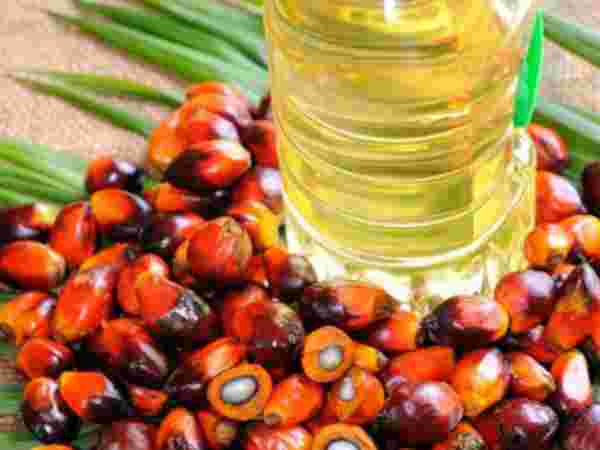 கவலைக்குரிய விஷயம் கவலைக்குரிய விஷயம்