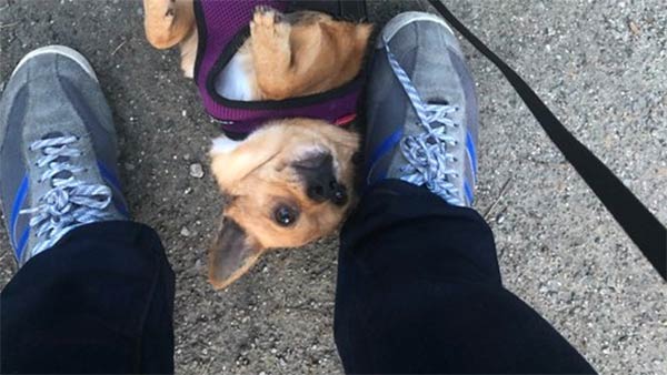 sudden-toes-blue-instantly-the-individual-ran-to-the-hospital sudden-toes-blue-instantly-the-individual-ran-to-the-hospital