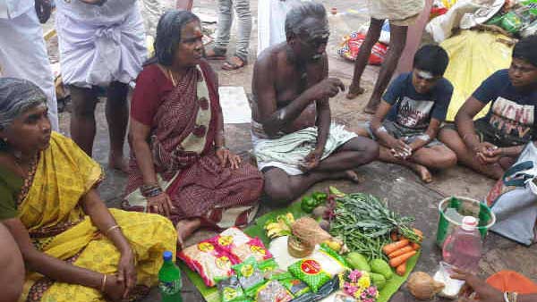 சந்ததி விருத்தி இல்லை