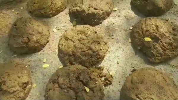  மாட்டுச் சாணி கடைகள்