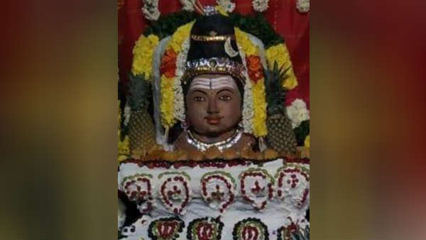 ஸ்ரீகாளஹஸ்தி ஸ்ரீகாளஹஸ்தி