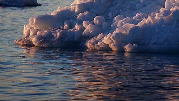 பனிப்பாறைகள் 