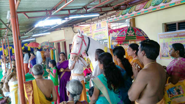 Ashwametha pooja at Sri Dhanvantri arokya peedam