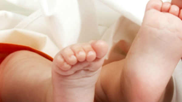 ஃபேன் கிடையாது 