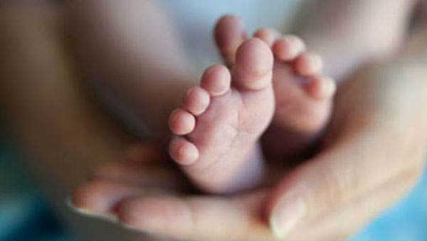 சாமி டு ஆசாமி 