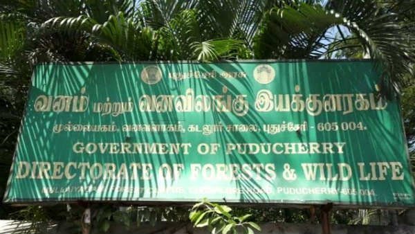 சீனாவிலிருந்து வருவதால் 