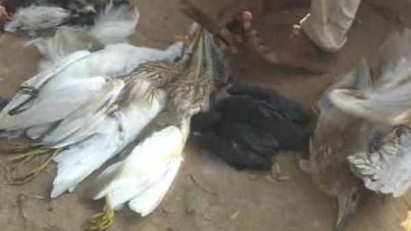 சீரியஸாக பிடிங்கப்பா 