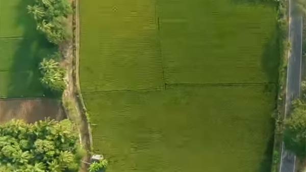 தொழில் கொள்கை 