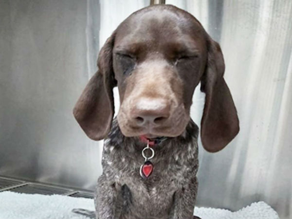 நகைச்சுவை பதிவு